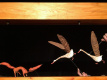 Фото Удивительное путешествие Нильса с дикими гусями
